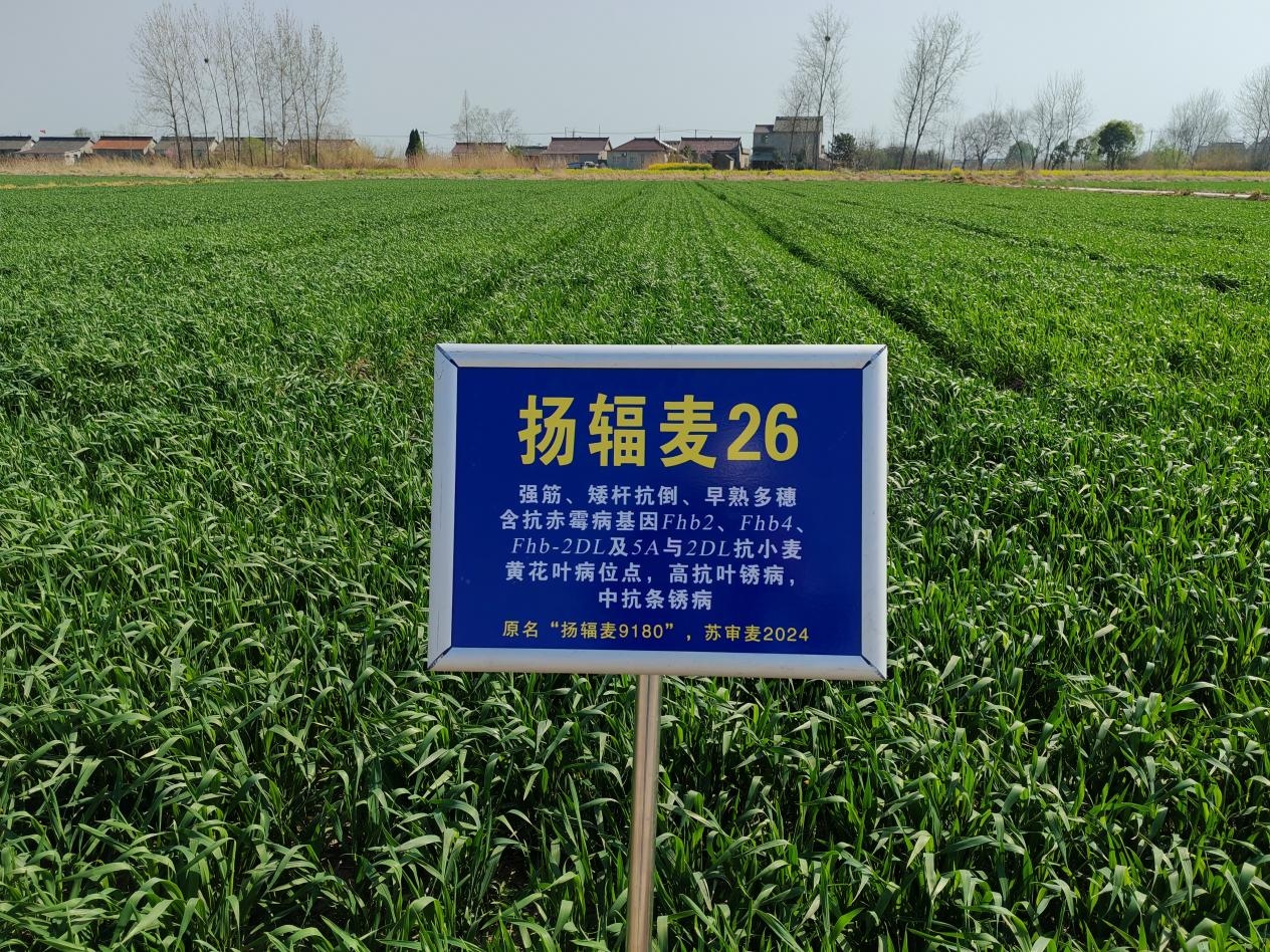 圖片1.jpg